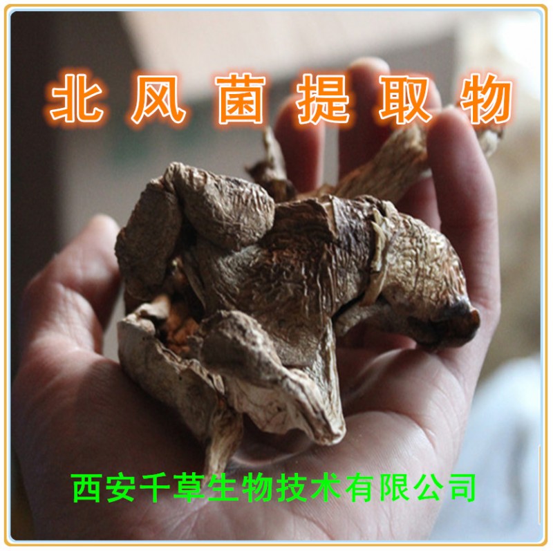 北风菌提取物0