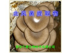 北风菌提取物