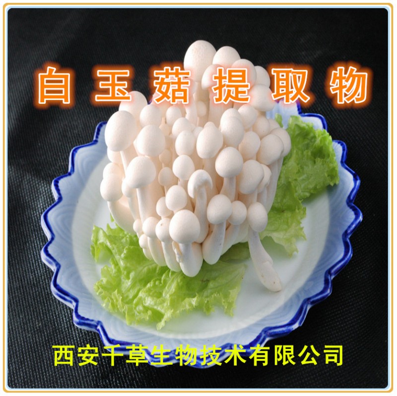 白玉菇提取物
