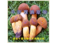 牛肝菌提取物