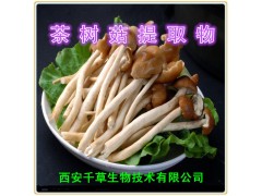 茶树菇提取物