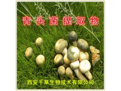 青头菌浓缩粉