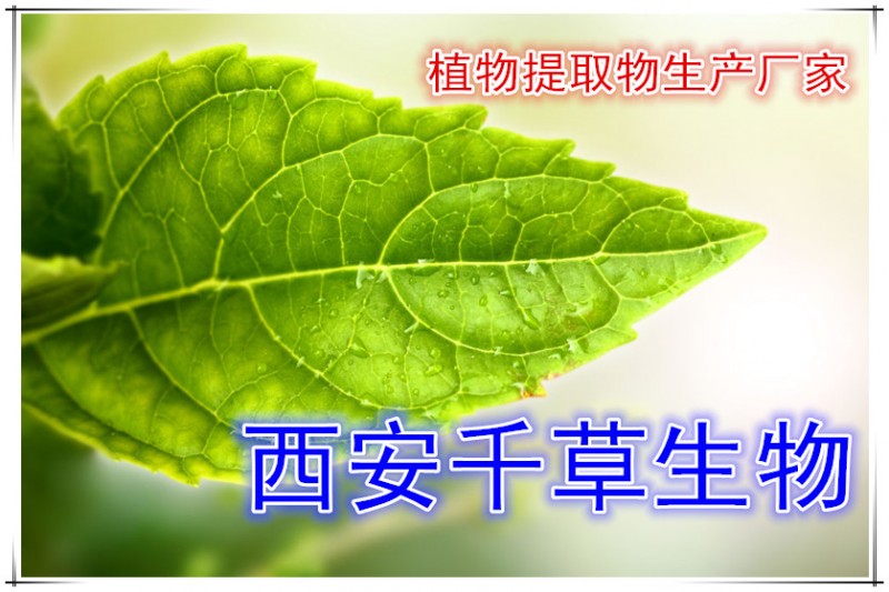 叶子公用