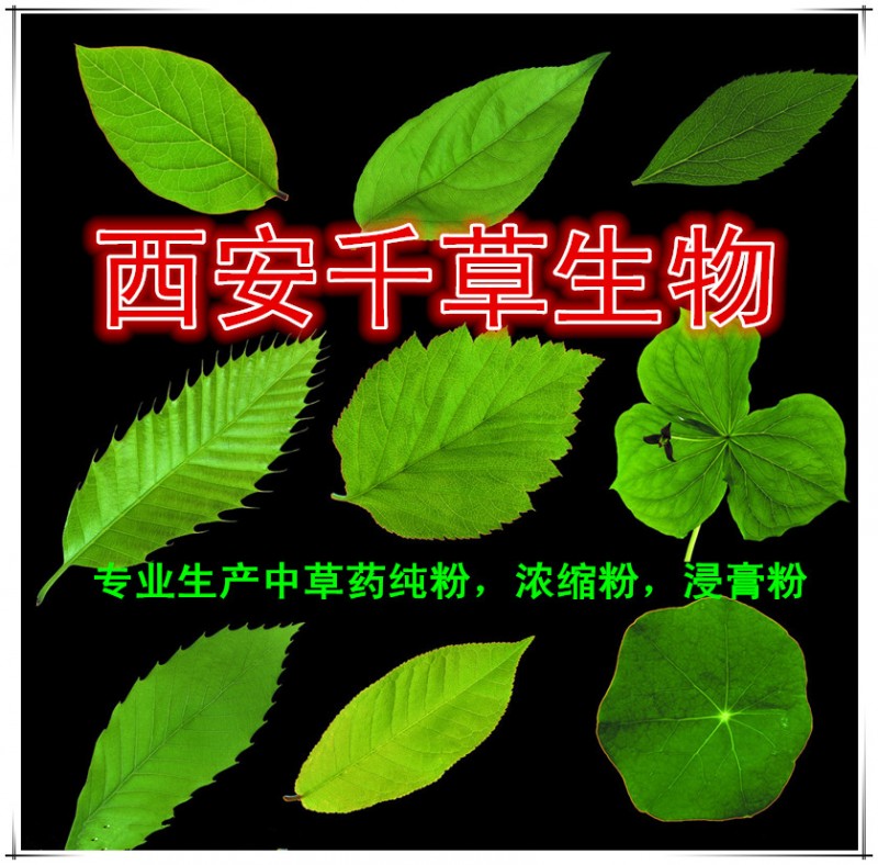 西安千草生物999