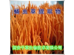 蛹虫草纯粉