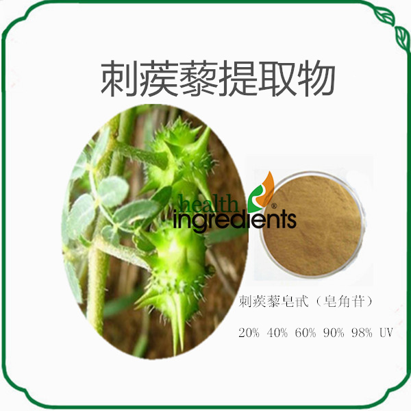 西安荣德生物刺蒺藜提取物刺蒺藜皂甙 20% 40% 98%