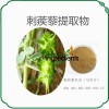 西安荣德生物刺蒺藜提取物刺蒺藜皂甙 20% 40% 98%