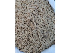 麦冬提取物厂家现货供应