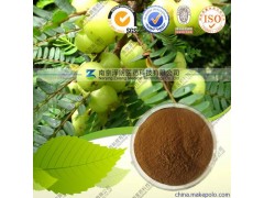 QS厂家现货供应余甘子提取物