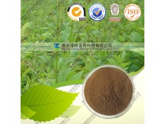 供应玄参提取物