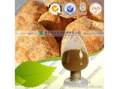 QS厂家现货供应猴头菇提取物，猴头菇多糖