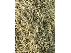 QS厂家现货供应金银花提取物，绿原酸5%~98%