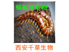 蜈蚣提取物 蜈蚣浓缩粉 蜈蚣浸膏粉 蜈蚣纯粉