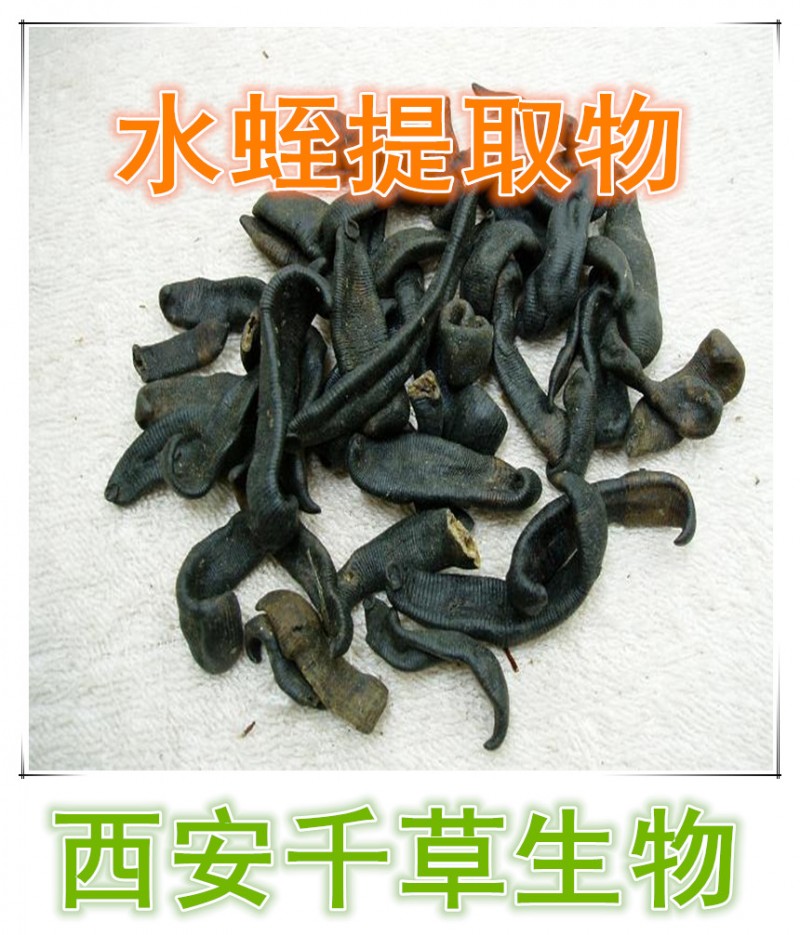 水蛭提取物  水蛭浓缩粉   水蛭浸膏粉   水蛭纯粉