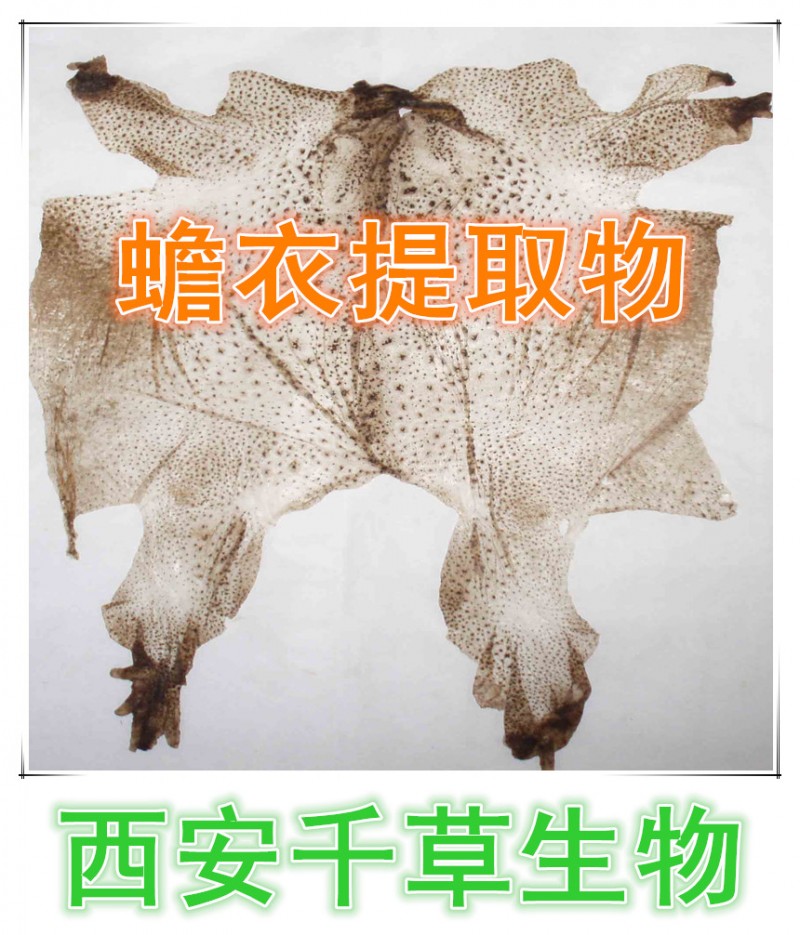 蟾衣提取物 蟾衣浓缩粉  蟾衣浸膏粉  蟾衣纯粉