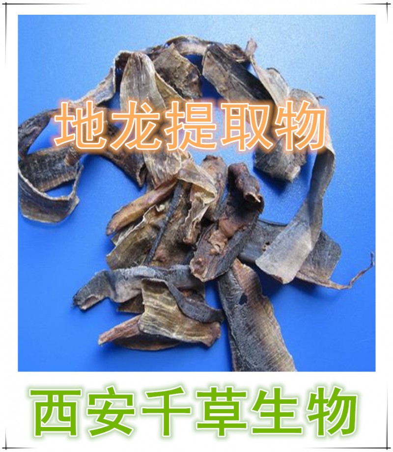 地龙提取物  地龙浓缩粉  地龙浸膏粉  地龙纯粉