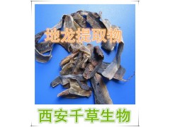 地龙提取物  地龙浓缩粉  地龙浸膏粉  地龙纯粉