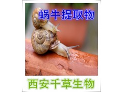 蜗牛提取物