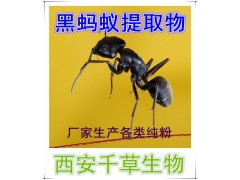黑蚂蚁提取物  黑蚂蚁浓缩粉  黑蚂蚁浸膏粉  黑蚂蚁纯粉