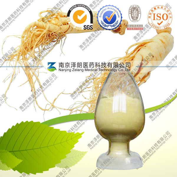 西洋参提取物——西洋参总皂苷80%