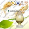 西洋参提取物——西洋参总皂苷80%