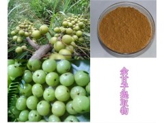 供应  优质 余甘子提取物，浓缩粉  厂家OEM代加工