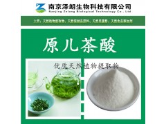 供应  优质 原儿茶酸  厂家OEM代加工