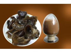 供应  优质 黑木耳提取物  厂家OEM代加工