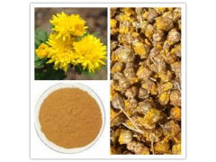 供应  优质 菊花提取物   厂家OEM代加工