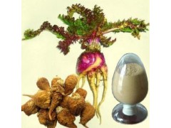 供应  优质  玛卡提取物  厂家OEM代加工