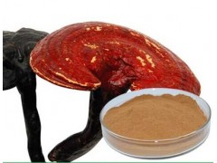 供应  优质  灵芝破壁孢子粉   厂家OEM代加工