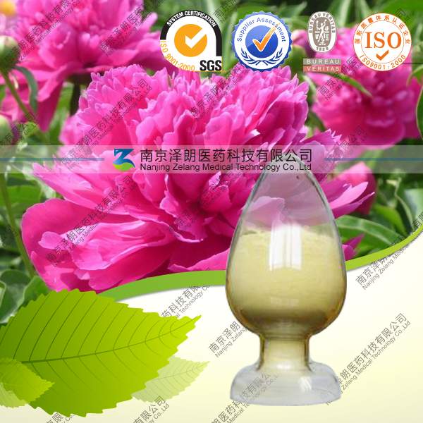 芍药苷生产厂家现货供应
