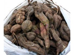 何首乌提取物（二苯乙烯苷）