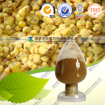 生姜提取物，姜辣素10%
