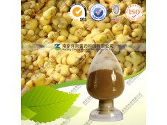 生姜提取物，姜辣素10%