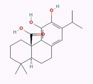 鼠尾草酸10%~98%