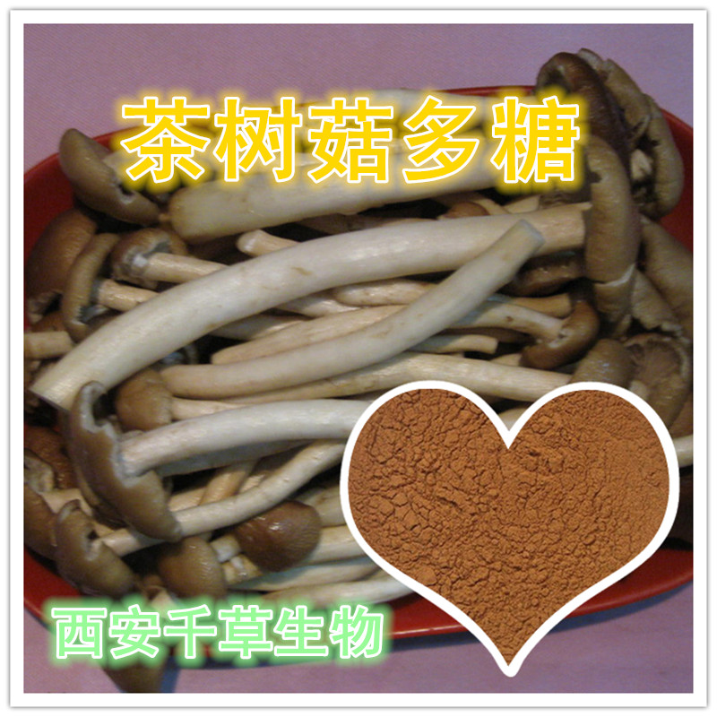 茶树菇多糖