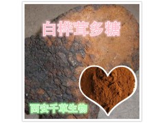 白桦茸多糖粉