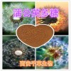 蒲公英多糖粉