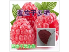 覆盆子多糖粉