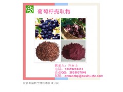 葡萄籽提取物 原花青素