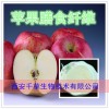 苹果膳食纤维粉