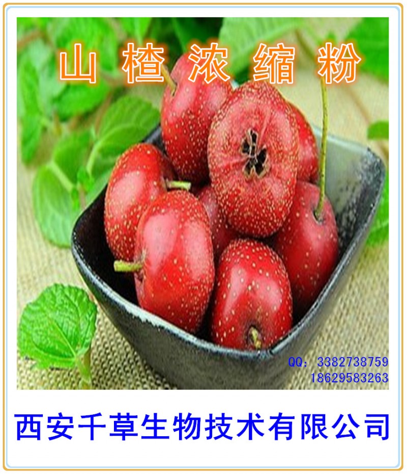 山楂浓缩粉