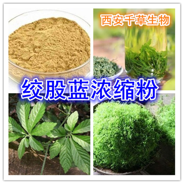 绞股蓝浓缩粉_副本