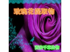 玫瑰花提取物