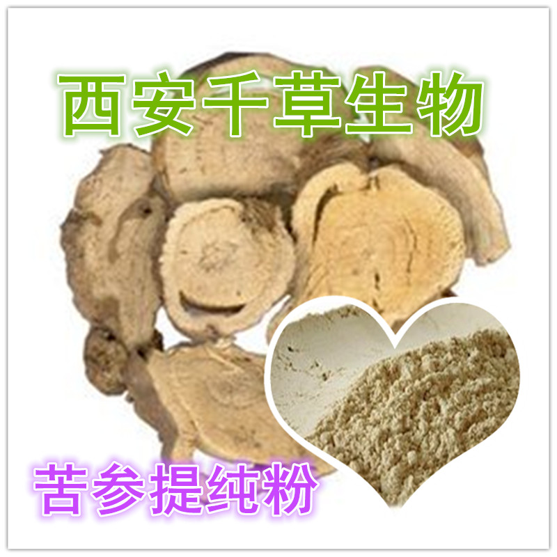 苦参提纯粉