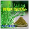 侧柏叶提纯粉