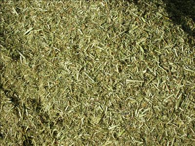 供应 优质 苜蓿草粉  厂家OEM代加工