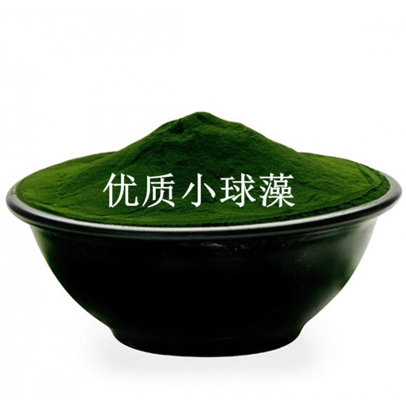 供应 优质 小球藻粉  厂家OEM代加工