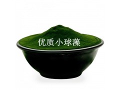 供应 优质 小球藻粉  厂家OEM代加工